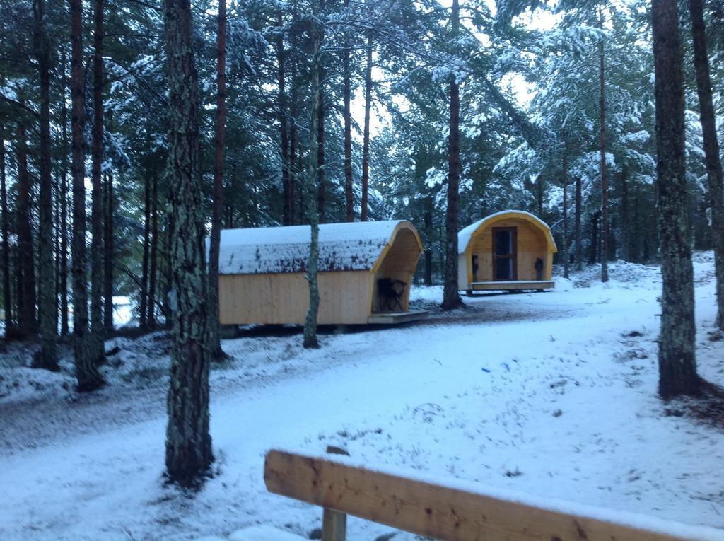 Camping Pod Heaven Brackla Esterno foto