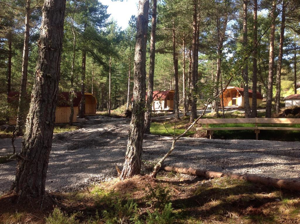 Camping Pod Heaven Brackla Esterno foto